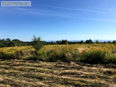 Pusta działka Kleszczów