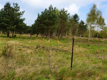 Działka budowlana Lubiatowo