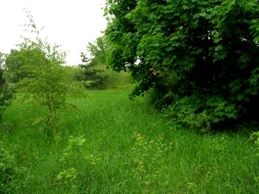 Działka usługowa Warszawa