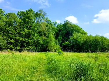 Ogrodzona działka sprzedam