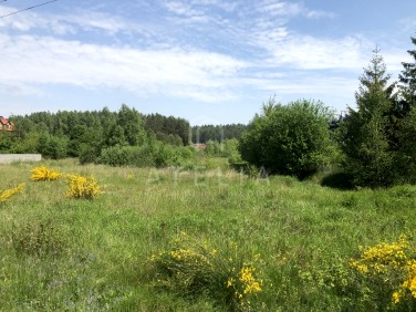 Działka nad jeziorem