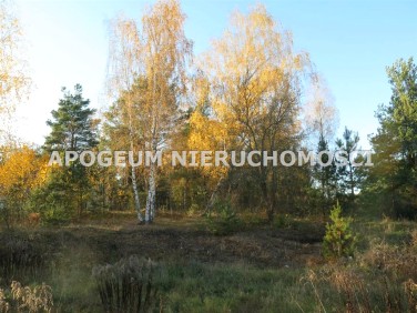 Działka budowlana Sochonie