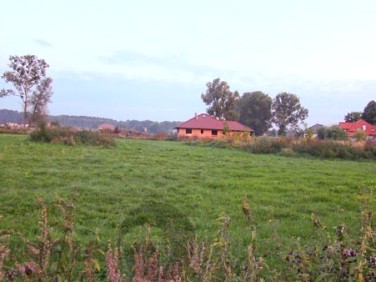 Działka budowlana Tanowo