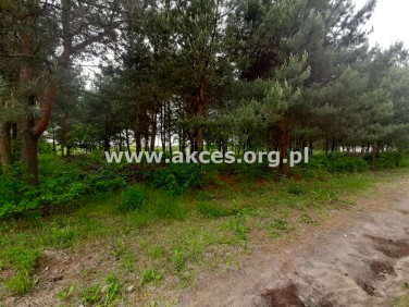 Pusta działka Łoś