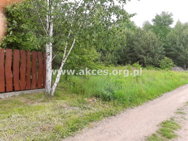 Pusta działka Łoś