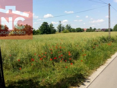 Działka budowlana Przeworsk