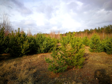 Działka budowlana Piaseczno sprzedam