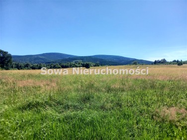 Działka budowlana Świeradów-Zdrój