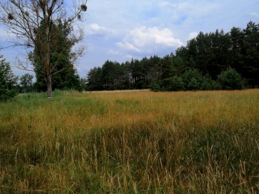 Działka budowlana Sowno