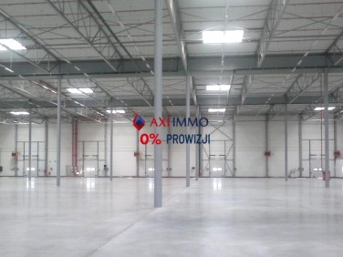 Budynek użytkowy Nadarzyn wynajem