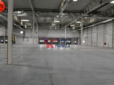 Budynek użytkowy Sulejówek wynajem