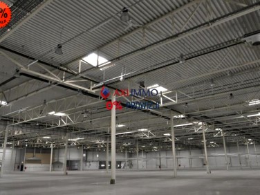 Budynek użytkowy Sulejówek wynajem