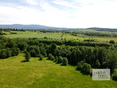 Działka siedliskowa Świecie