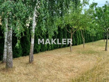 Działka budowlana Brzoza sprzedam