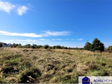 Działka rolna Siadło Dolne