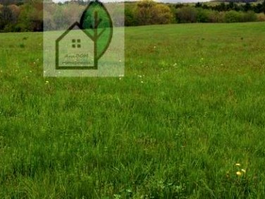 Działka budowlana Łoś