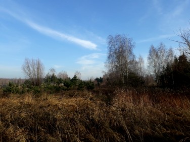 Działka budowlana Lipków sprzedam