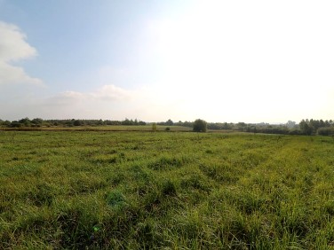 Działka rolna Krasne sprzedam