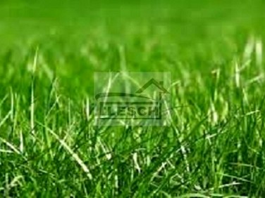 Działka rolna Terenia