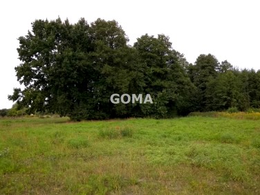 Działka budowlana Sulejówek sprzedam