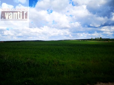 Działka rolna Kołbaskowo sprzedam