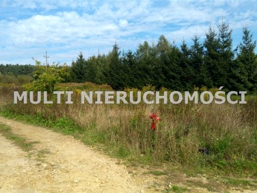 Działka budowlana Poręba Żegoty