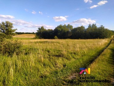 Działka budowlana Łaz