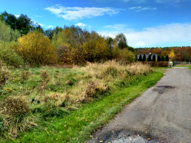 Działka rekreacyjna Lubrza sprzedam