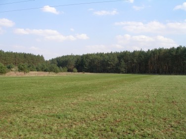 Działka budowlana Sowno