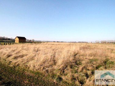 Działka budowlana Wrzosowo