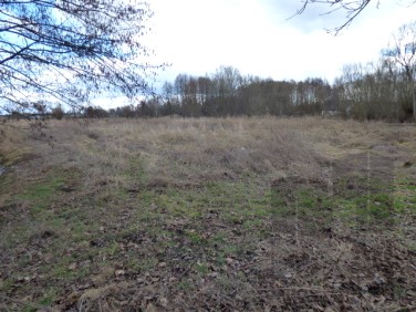 Działka budowlana Bolemin