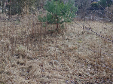 Działka budowlana Lipków