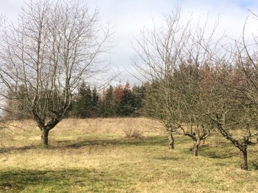 Działka budowlana Wełtyń