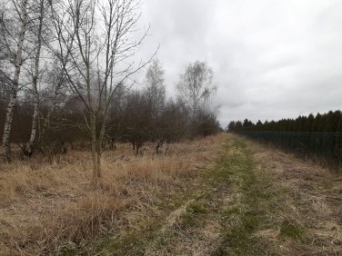 Działka rolna Karwowo