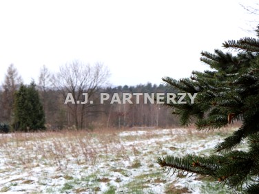 Pusta działka Kleszczów