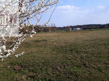 Działka budowlana sprzedam