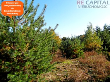 Działka budowlana Lipków