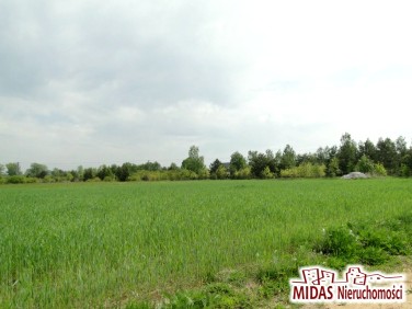 Budynek użytkowy Ciechocinek