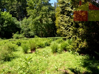 Działka budowlana Szprotawa sprzedam