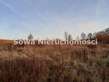 Działka budowlana Świeradów-Zdrój