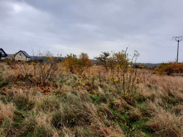 Działka inna Nowęcin