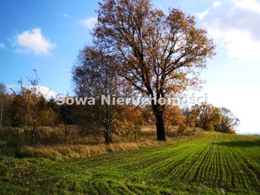 Działka inwestycyjna Pisarzowice