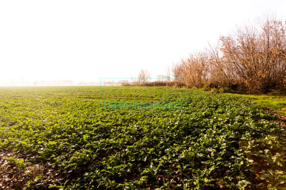 Działka budowlana Paprotnia