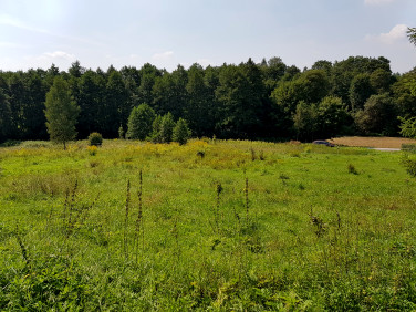 Działka budowlana Poręba Żegoty