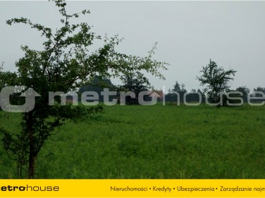 Działka rolna Bogdaszowice sprzedam