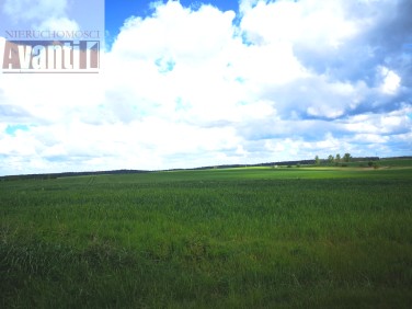 Działka budowlana Wełtyń sprzedam