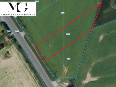 Działka inna Białowieża