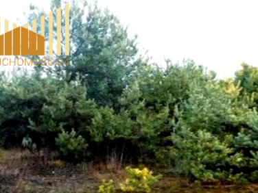 Działka inna Nowy Konik