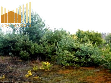 Działka inna Nowy Konik