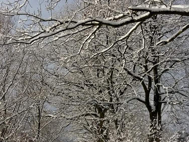 Działka budowlana Pilchowo